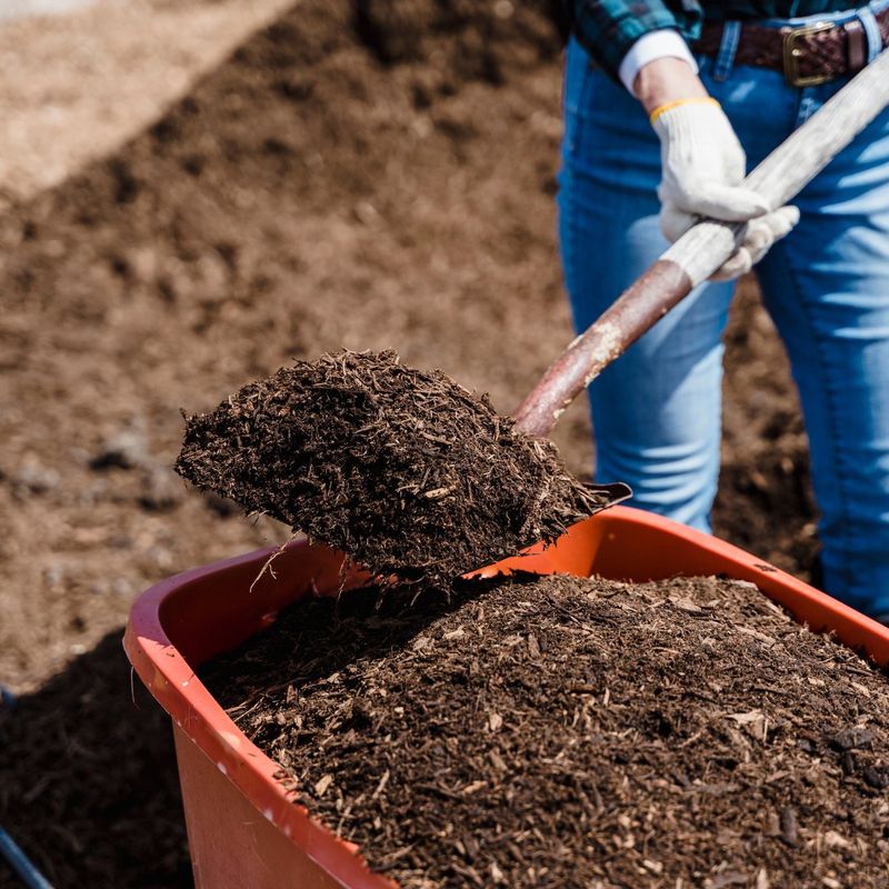 Nurturing with Manure