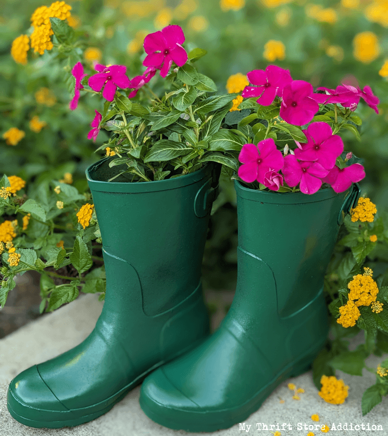 Old Boot Planters