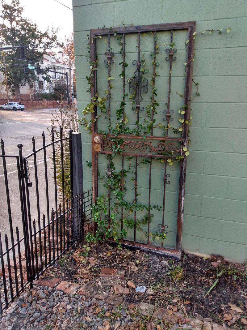 Old Door Trellis