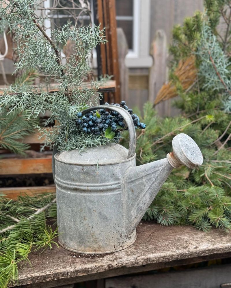 Old-Fashioned Watering Cans