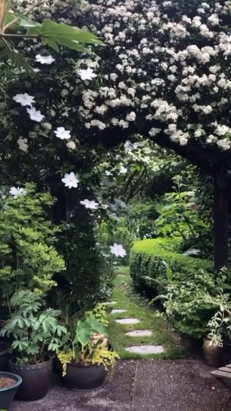 Ornate Trellises and Arbors