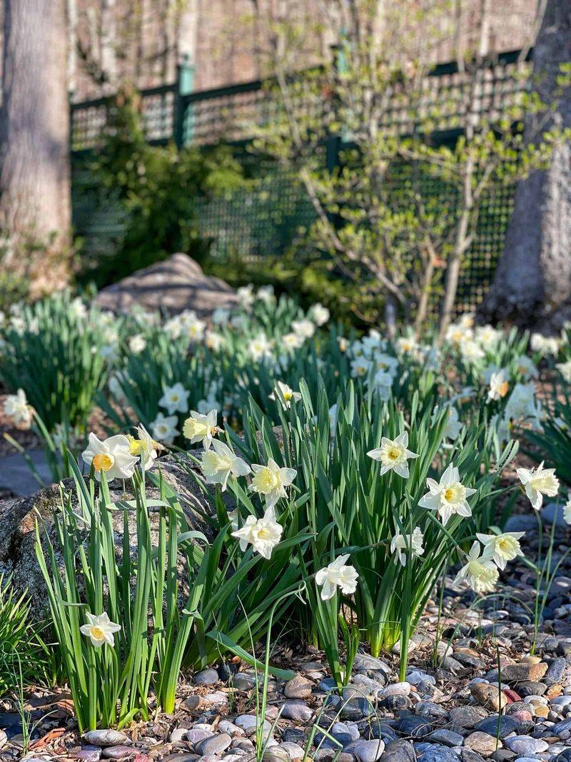 Overcrowding the Bulbs