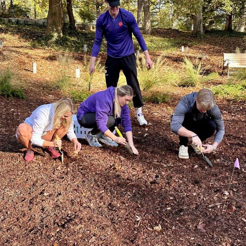 Overlooking Soil Composition