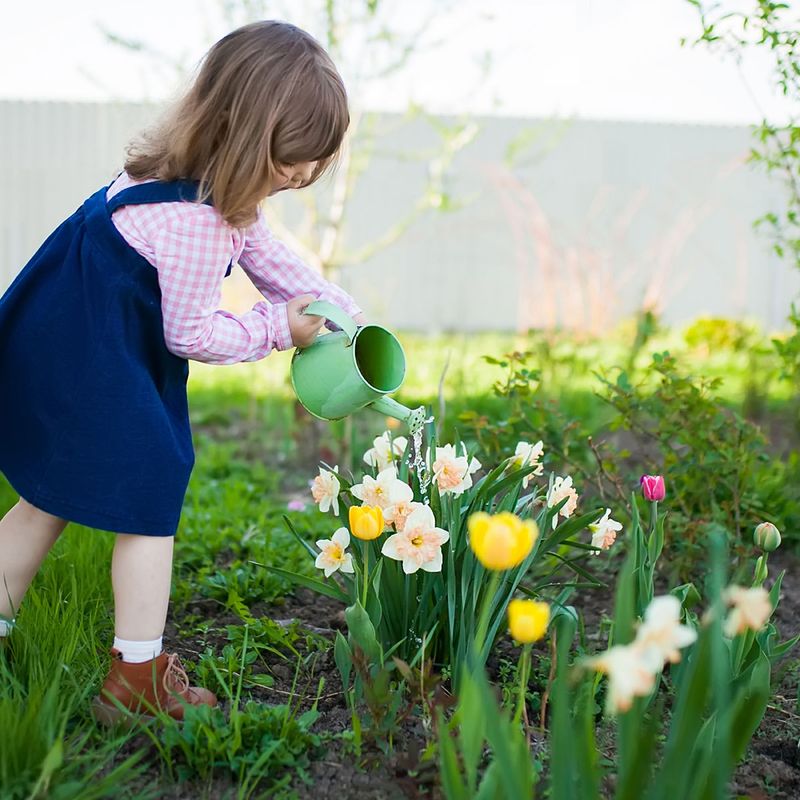 Overwatering Newly Planted Bulbs