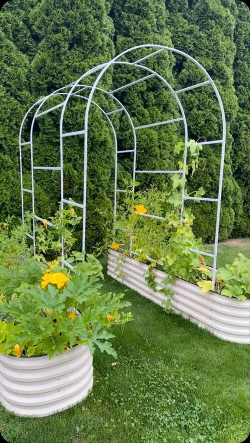 PVC Pipe Trellis