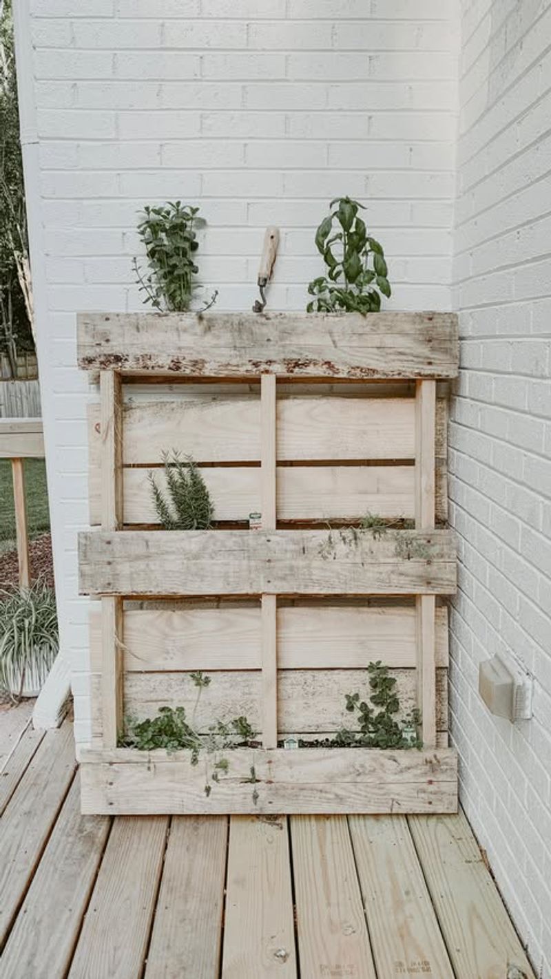 Pallet Trellis Wall