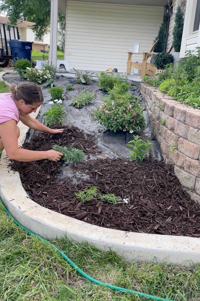 Patterned Planting