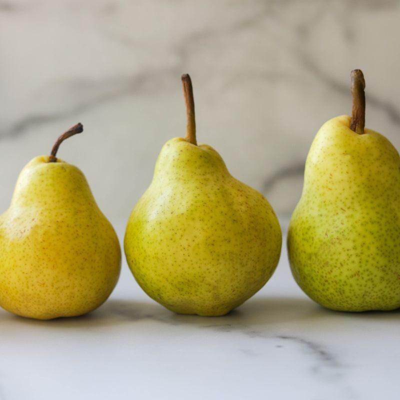 Pennsylvania: Bartlett Pear