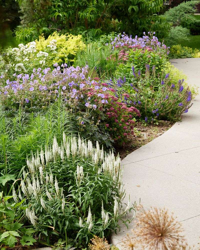 Perennial Border