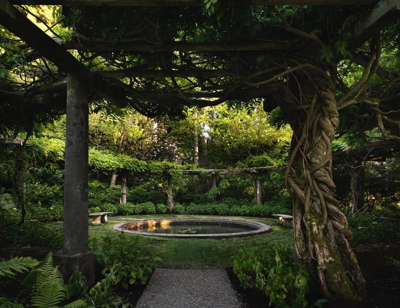 Pergolas Draped with Vines