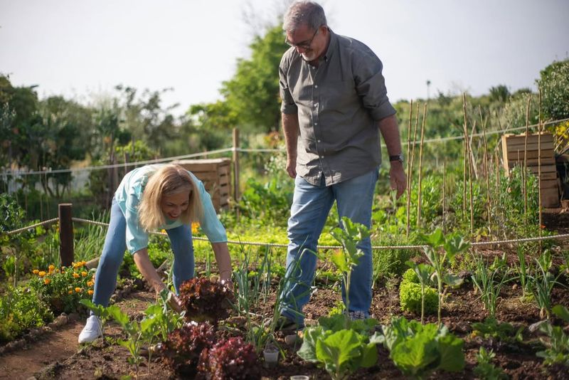 Plan Your Garden Layout