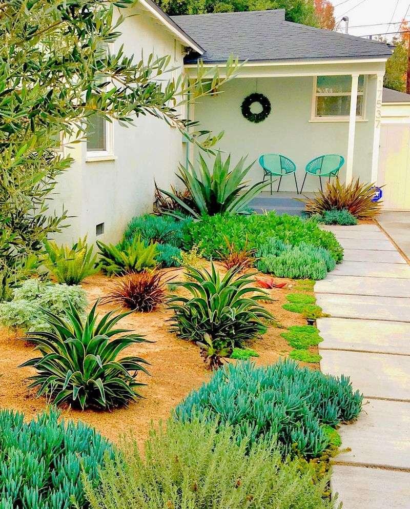 Plant Drought-Resistant Flora