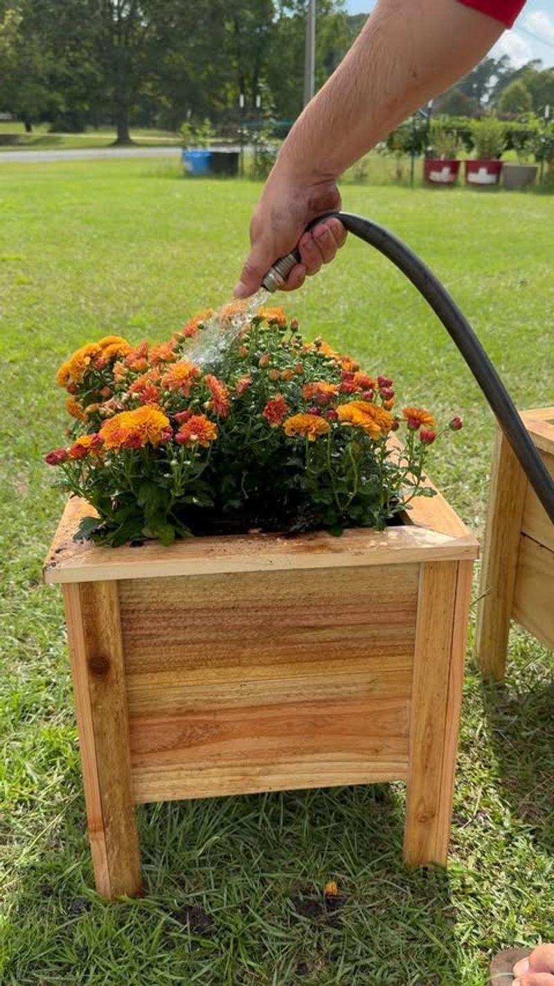 Planter Boxes