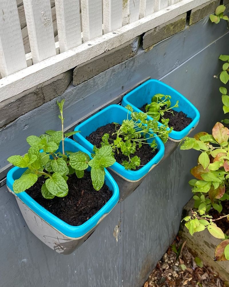 Plastic Storage Bins