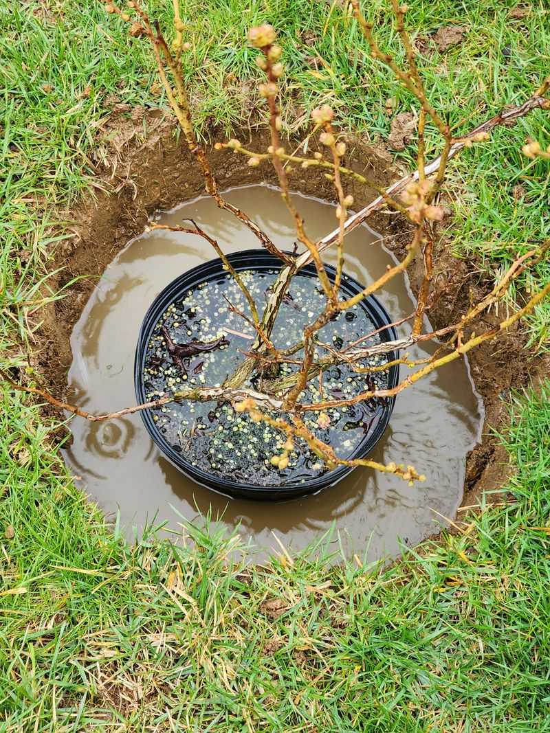 Poor Soil Drainage