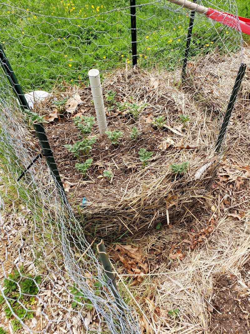 Potato Cage Towers