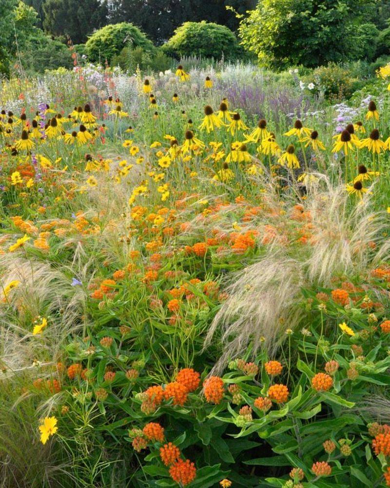 Prairie Garden