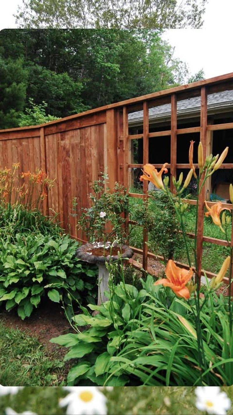 Privacy Trellis