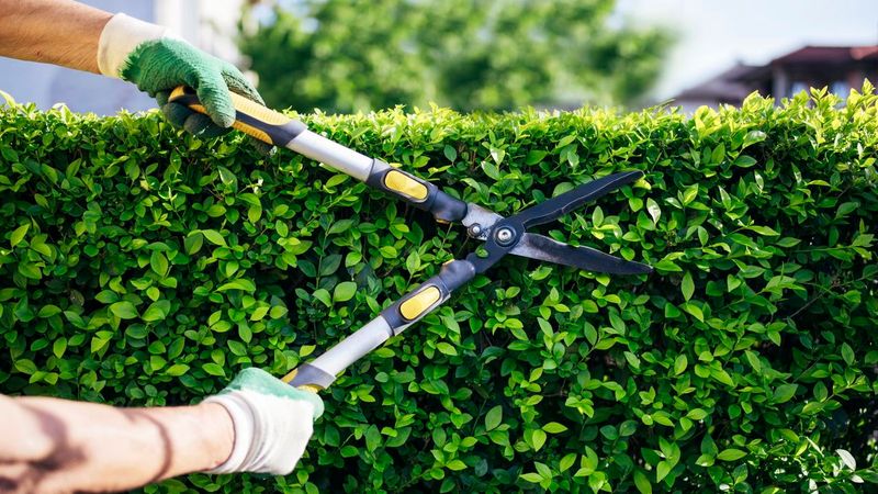 Pruning Precision