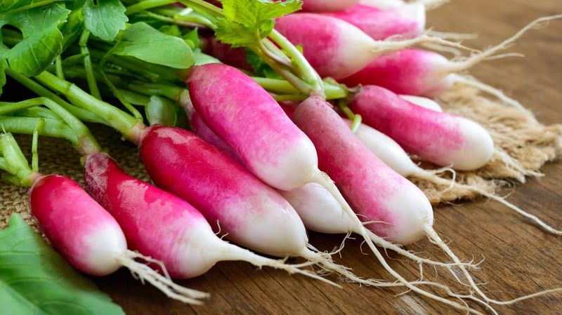 Radishes