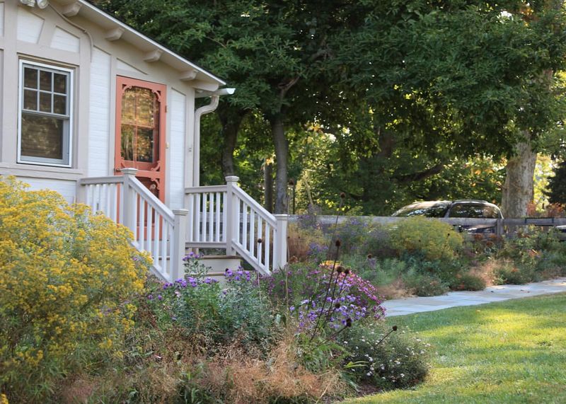 Rain Garden Retreat