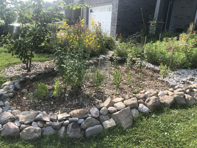 Rain Gardens