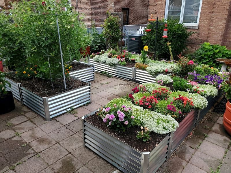 Raised Garden Beds