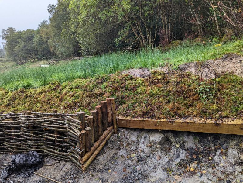 Raised Wattle Fences