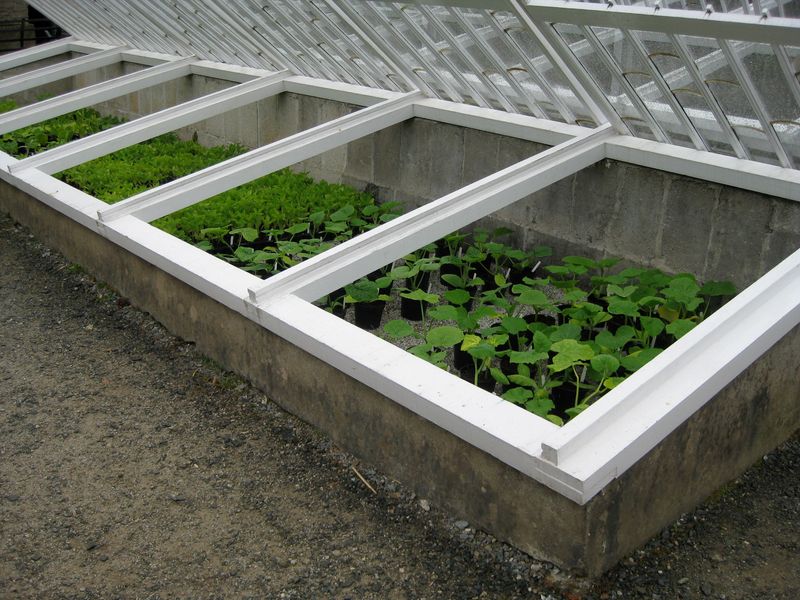 Recycled Window Cold Frame