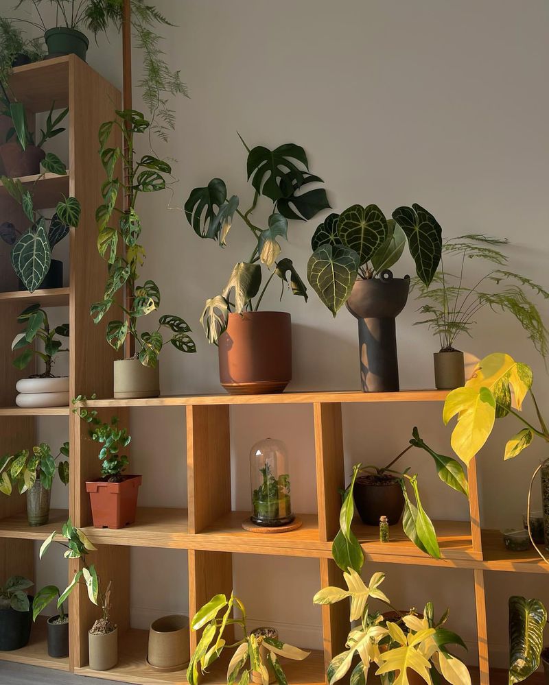 Repurposed Bookshelf Plant Stand