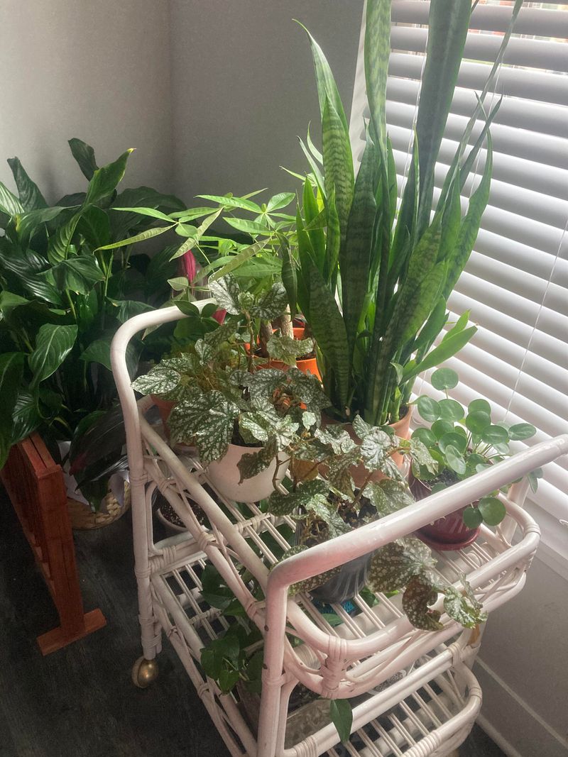 Repurposed Cart Plant Stand