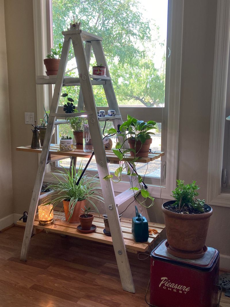 Repurposed Ladder Plant Stand