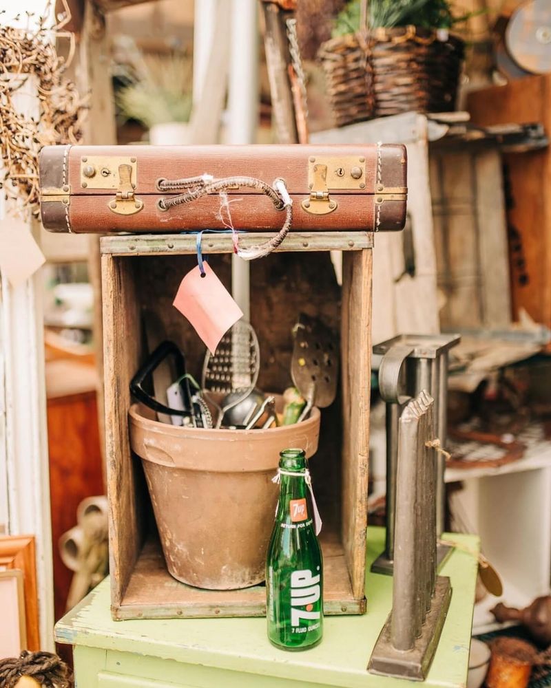 Repurposed Suitcase Plant Stand