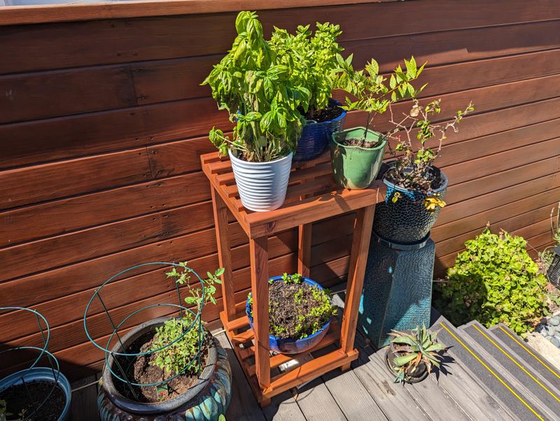 Repurposed Trolley Plant Stand