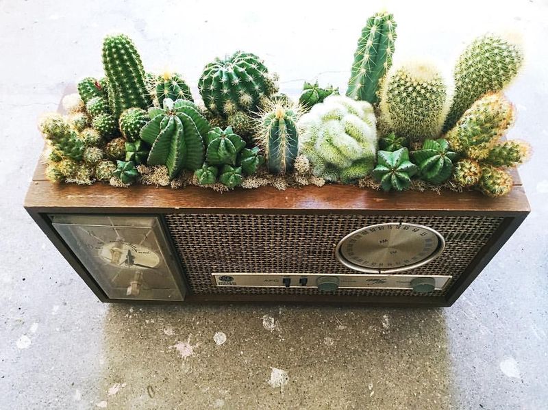 Retro Radio Planter