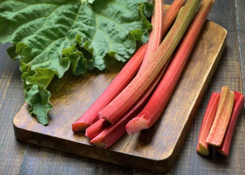 Rhubarb