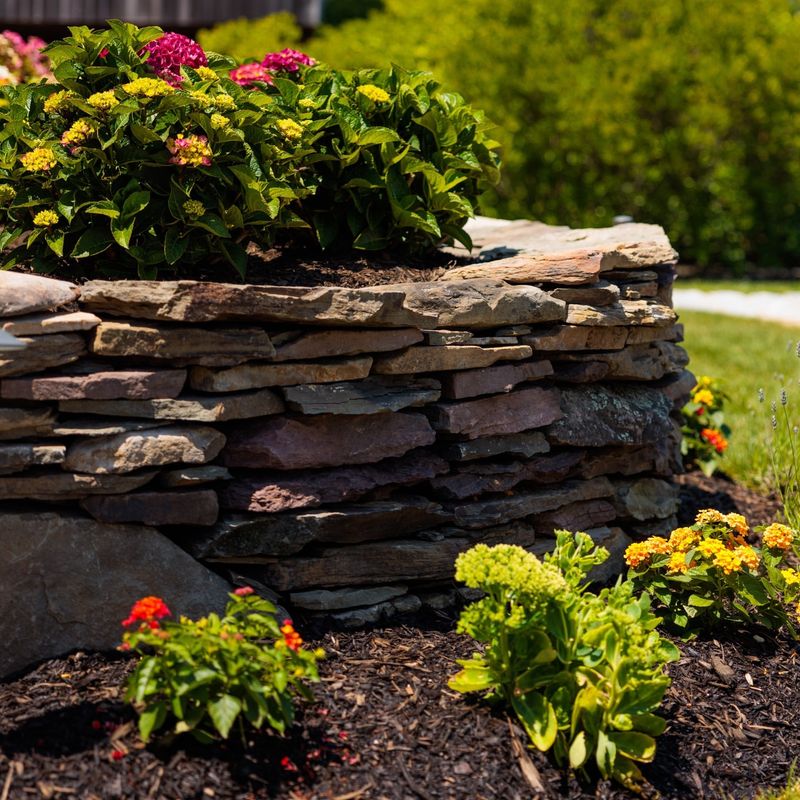 Rock Garden Elegance