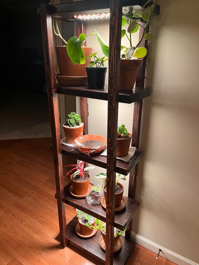 Rustic Bench Plant Stand