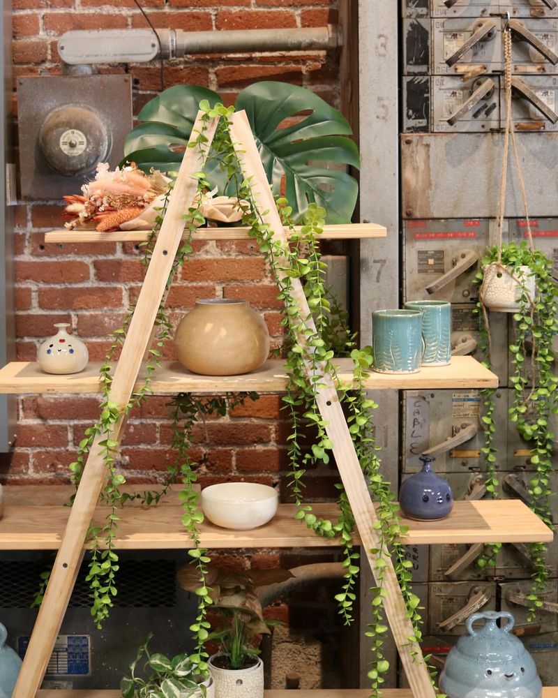 Rustic Ladder Plant Stand