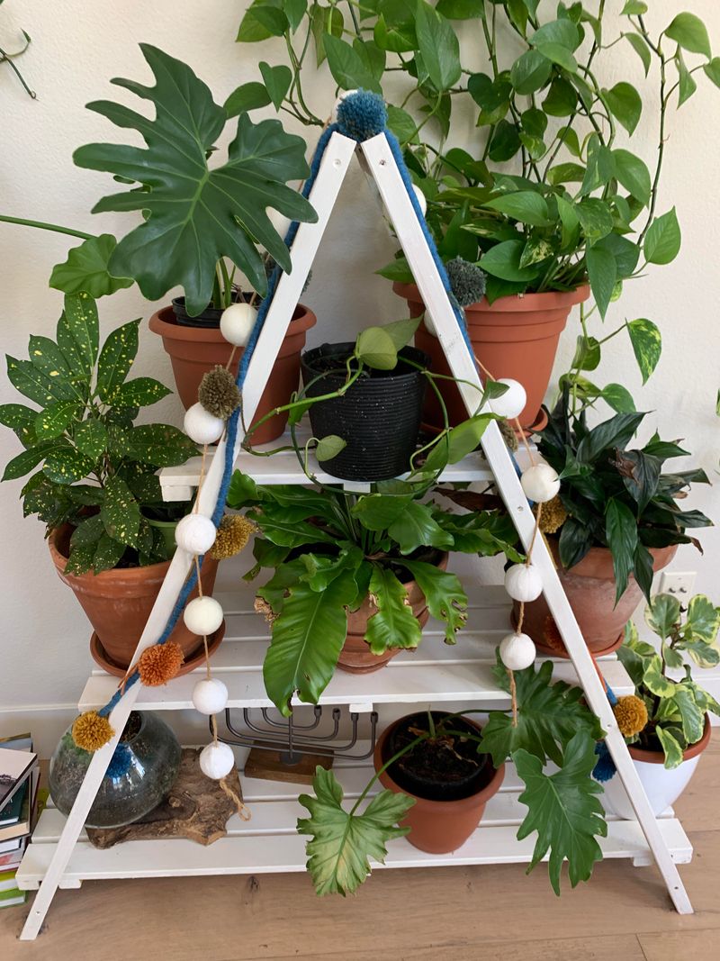 Rustic Ladder Plant Stand