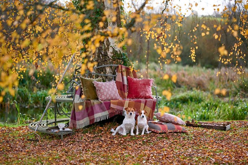 Rustic Pergola