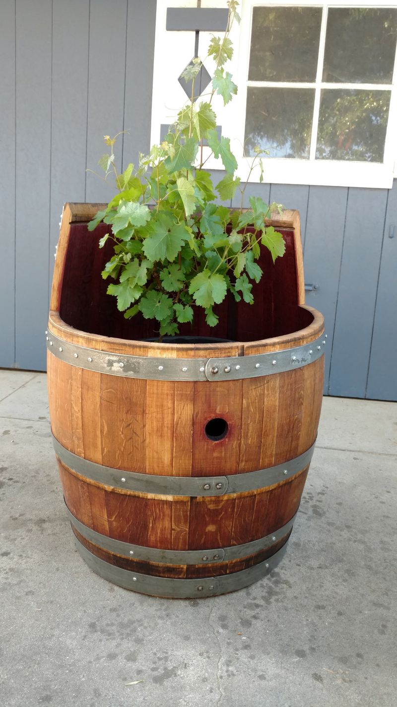 Rustic Wine Barrel Garden