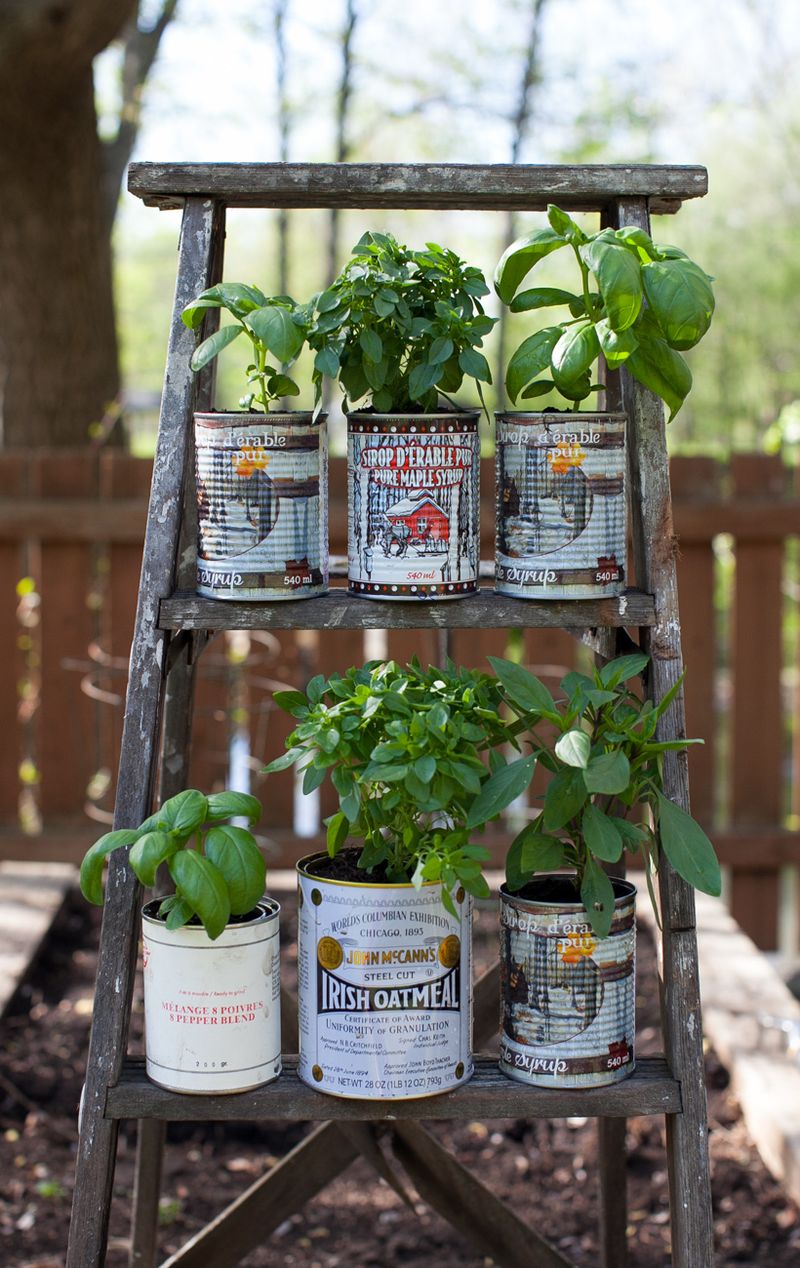 Rustic Wooden Ladder Trellis