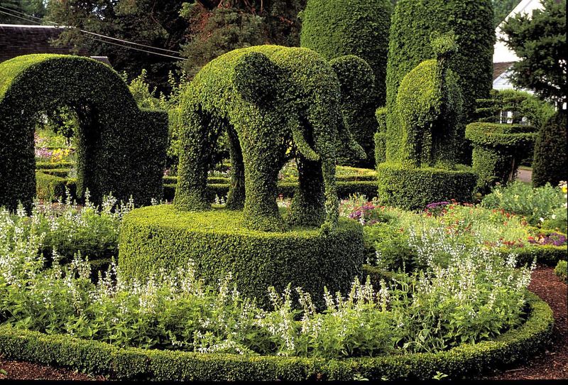 Sculptural Topiary Gardens