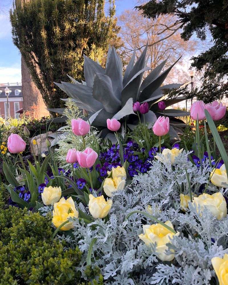 Seasonal Bulb Displays