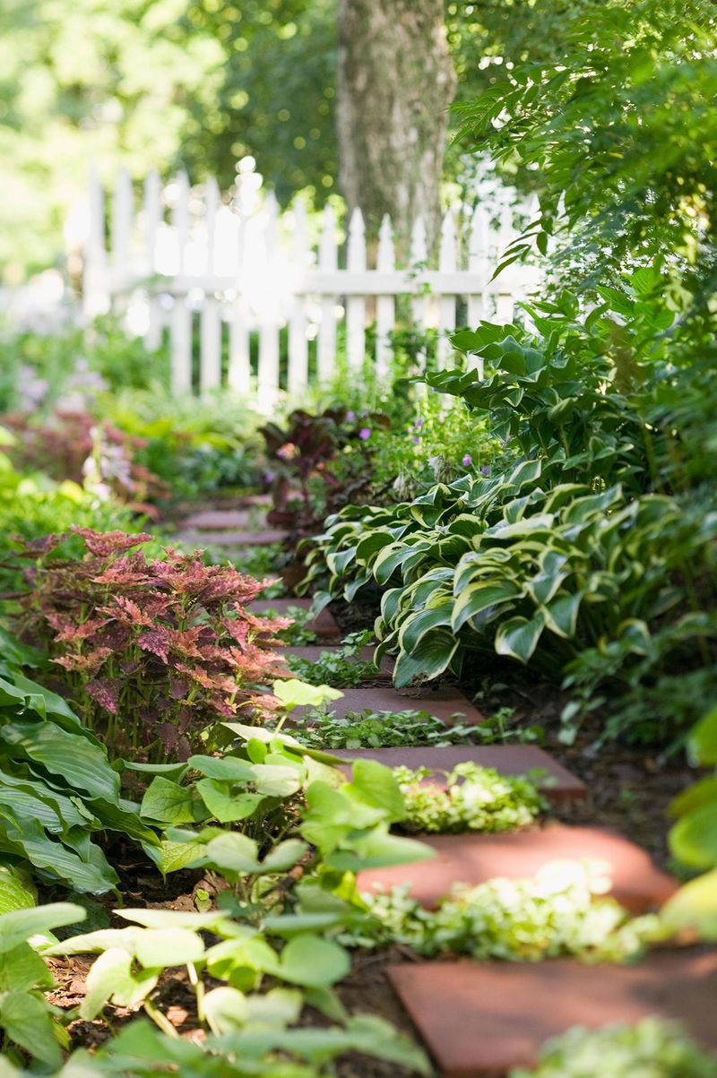 Shade Garden