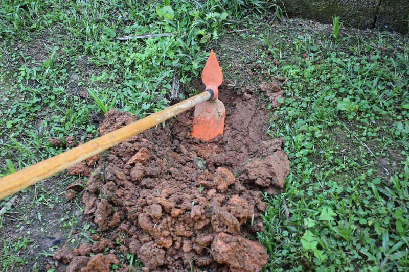 Soil Aeration Techniques