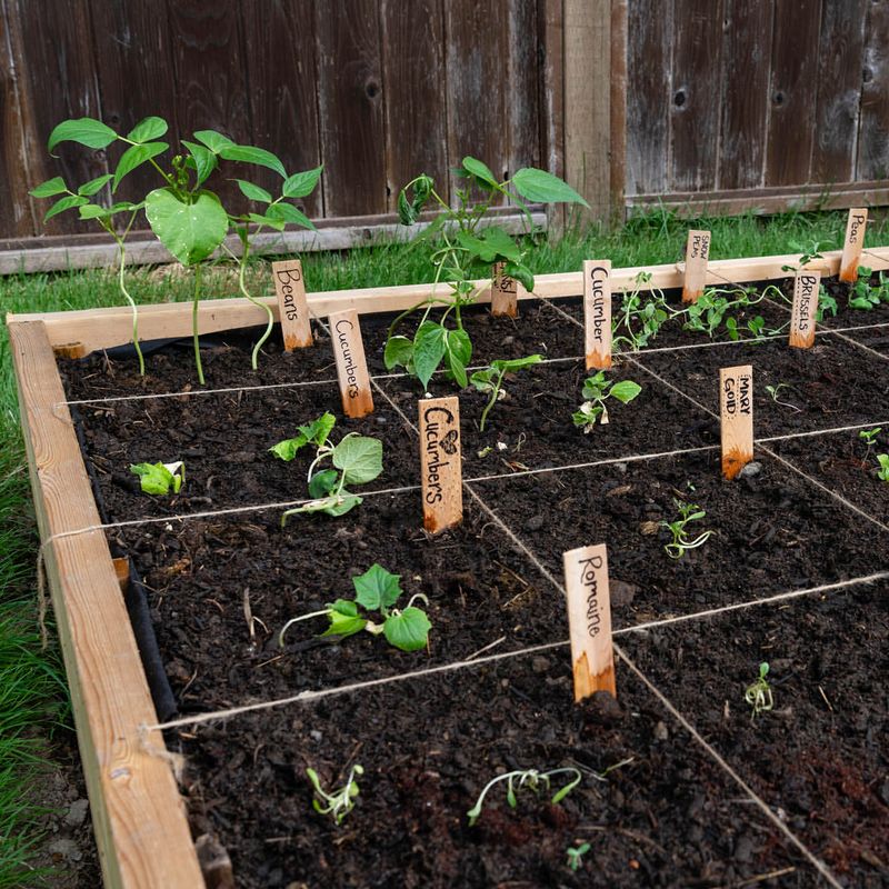 Square Foot Gardening