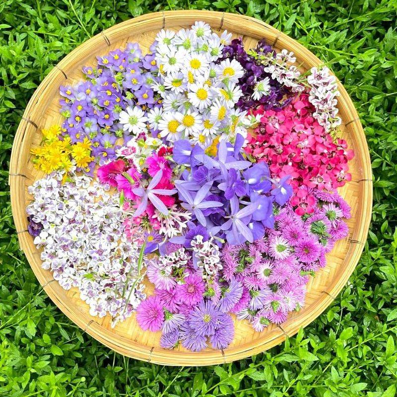 Start Incorporating Edible Flowers