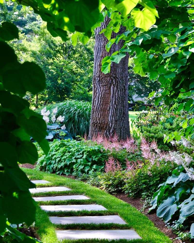 Stepping Stone Path